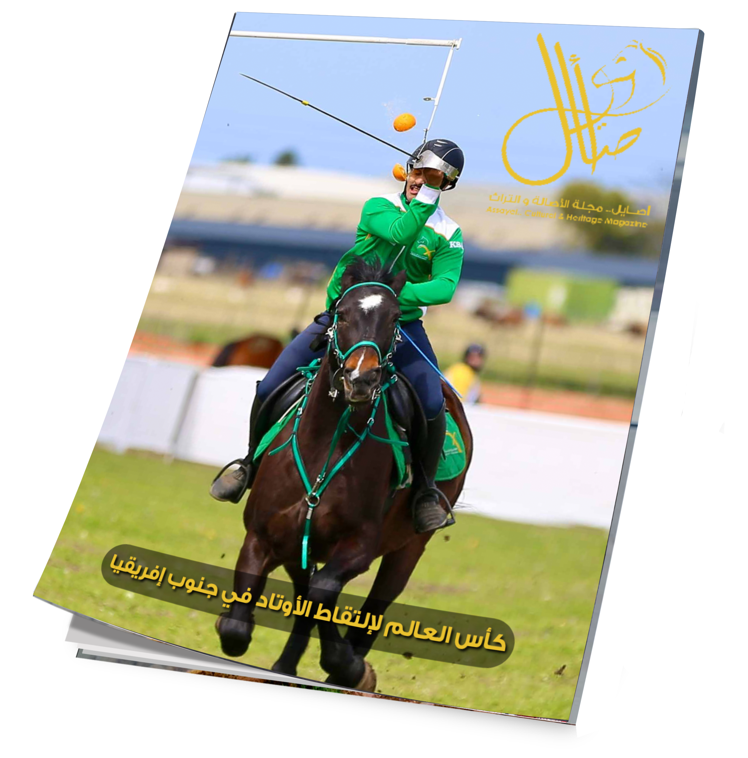 غلاف العدد 69